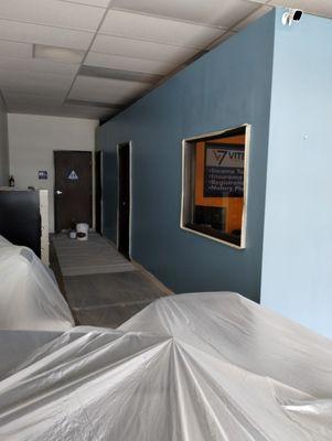 Wolf Professional Painting