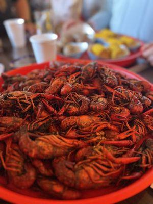 Tortugo Brewing Company