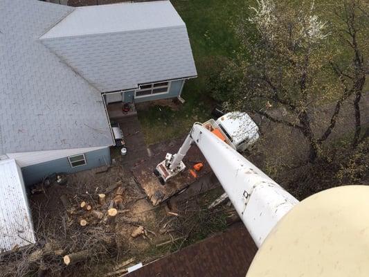 Cutting Edge Tree Removal LLC