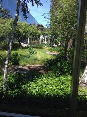 Since closure the place has really become like an "Omega-man" or "I am Legend" movie set.