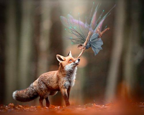 Cassie Clarkson Photography