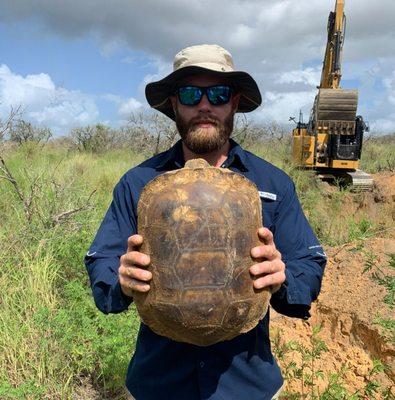 Horner Environmental