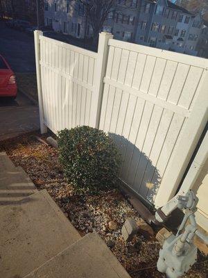 Before, annoying prickly shrub and pepples