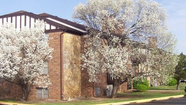 Olde English Manor-exterior2