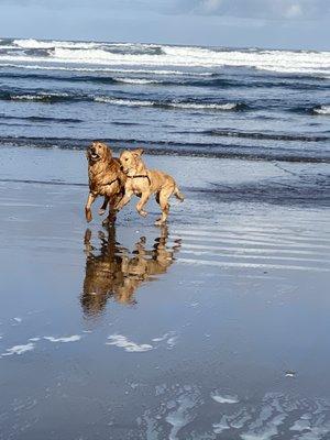 Seaside Wellness Center