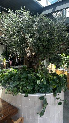 Pothos restaurant display designed by us.