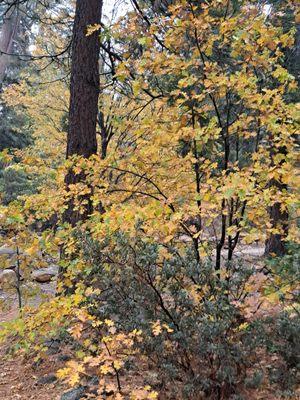 Gillmore Real Estate