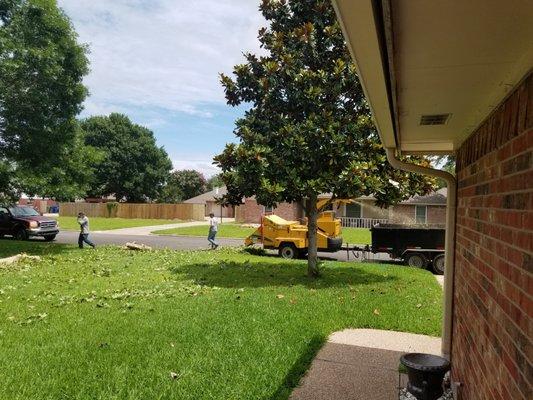 Carbajal Tree Service