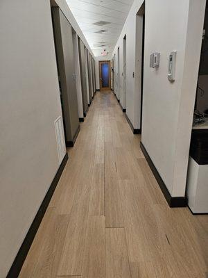 Fresh & Clean Services