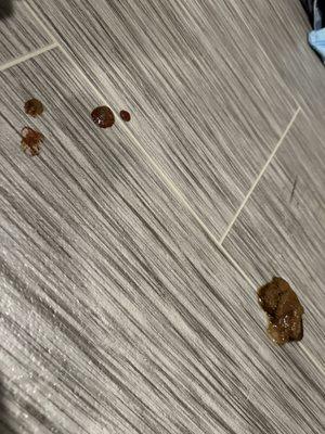 The Pooch Parlor Salon