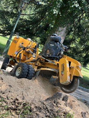 Diamond Tree & Landscaping