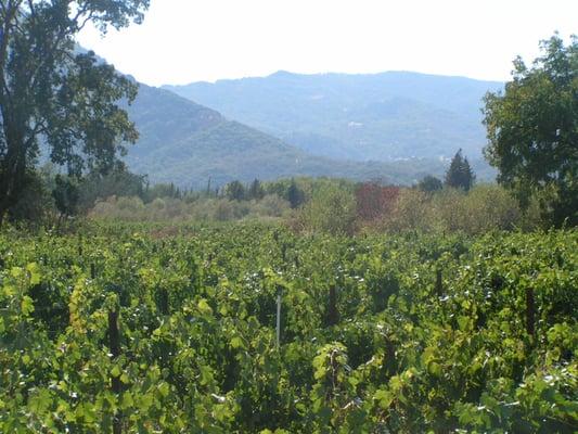 Sonoma County Vacation Rentals