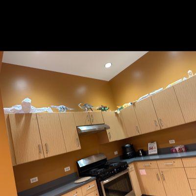 NAMI of Dupage County Illinois