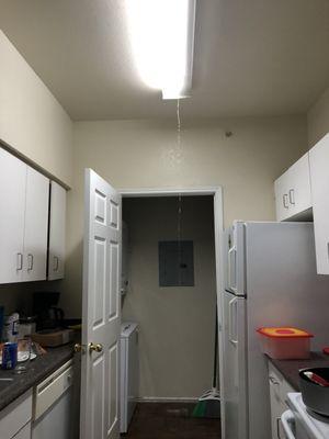 The Ridge & Parkdale Apartments