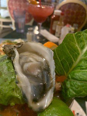 Oyster on campechana