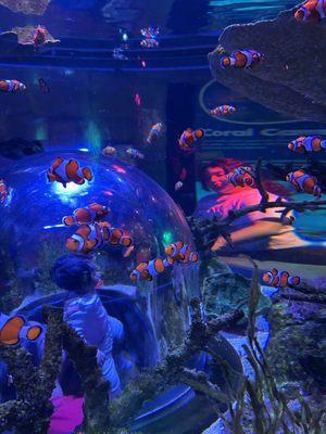 Elevated World Travel