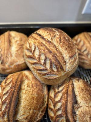 Sourdough Artisan Bread