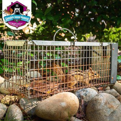 Complete Animal Removal