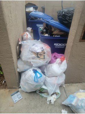 The trash situation. Maggots grow here, it's normal at the complex.