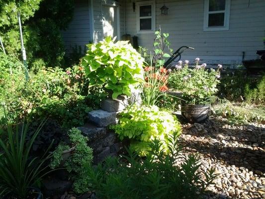 Beautiful flower garden at The Rose of Sharon.