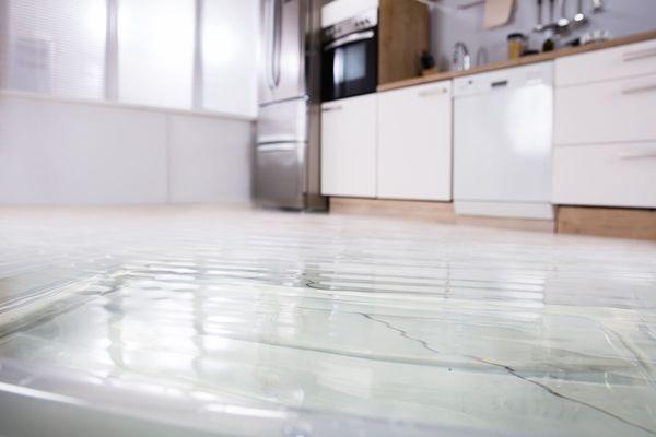 Water damage occurs quickly. Call us right away if your home is flooded. We can limit damage and prevent mold from growing.