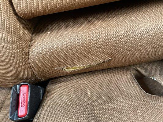 Tropical Auto Wax & Accessories