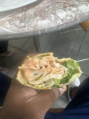 Wraps Delight
