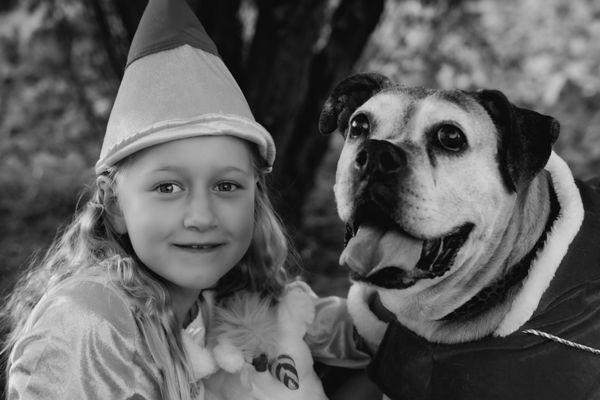 Creature Comforts Animal Hospital