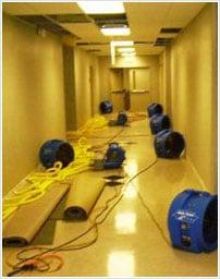 Los Angeles Water Damage Services