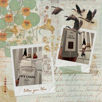 See's Candies Chocolate Shop