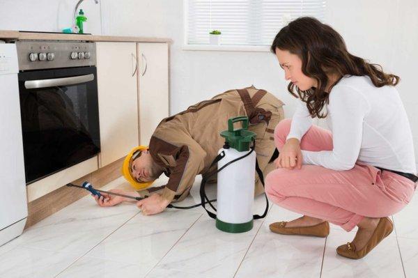 Mills Termite & Pest Control