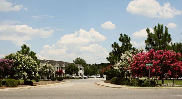 Blue's Crossing Apartments