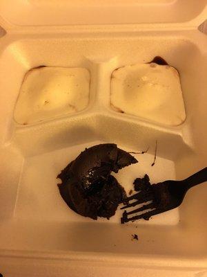 Blue Shoe Bar and Grill