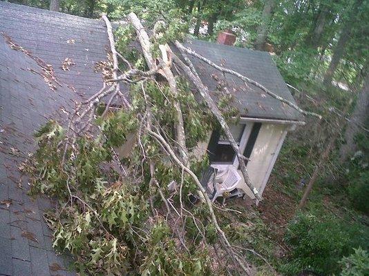 Geddie's Tree Service