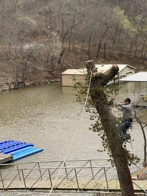 Kelley's Tree Service