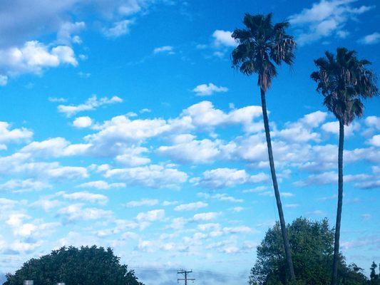 Palms Garden Apartments