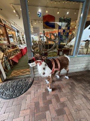 Seven Sisters Gallery