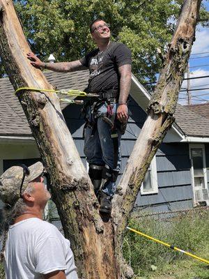 Pennington’s Tree Service