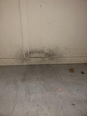 Waxhaw Mill Apartments