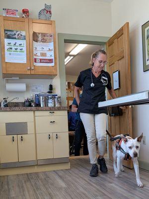Kedron Valley Veterinary Clinic