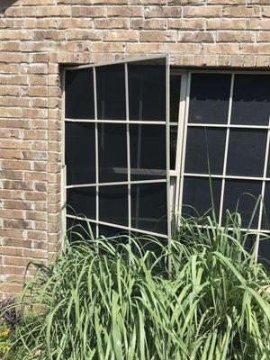 Less then a month of being up trashhhh