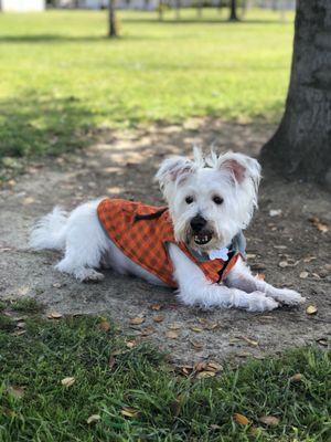 Kaipo at Morning Side Park 4/4/2018