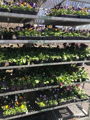 Sara's Garden Center