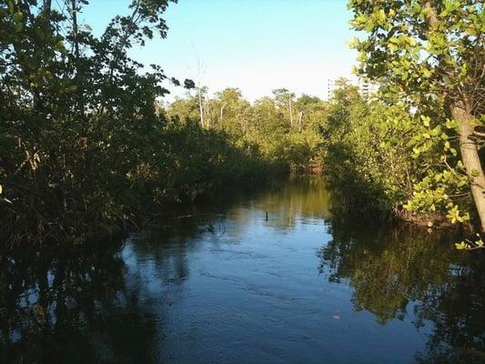 Hugh Taylor Birch State Park