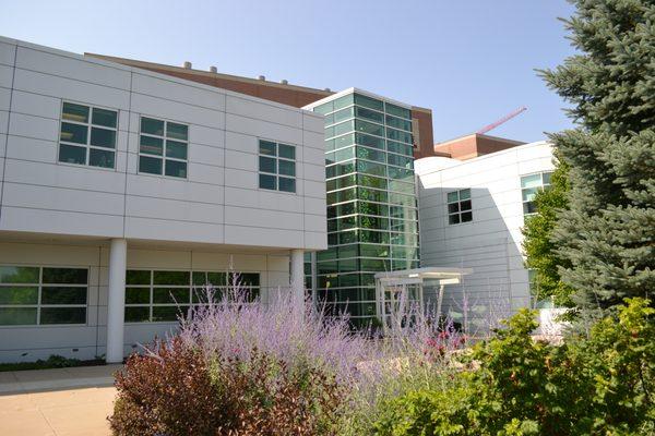 Versiti Blood Research Institute