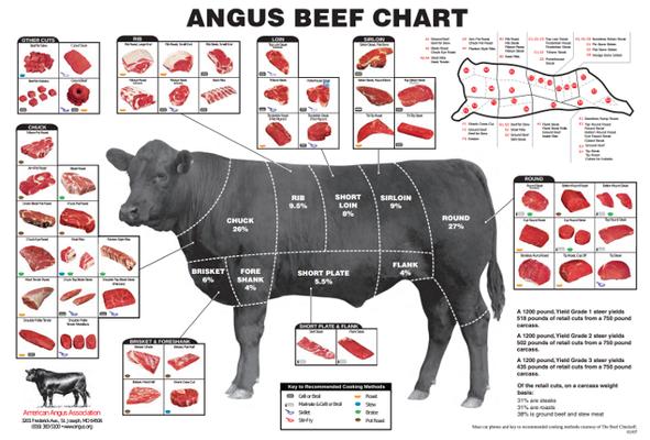 Handy chart they gave us to help decide on what cuts we wanted.