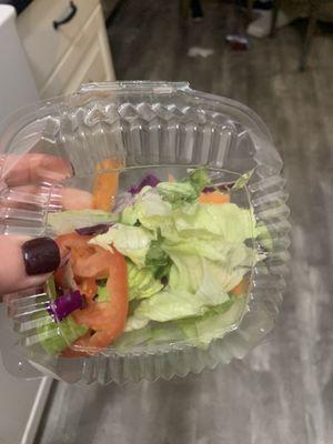 Side salad, penne with (very limited) sausage), chicken francaise which is a very slightly larger portion.