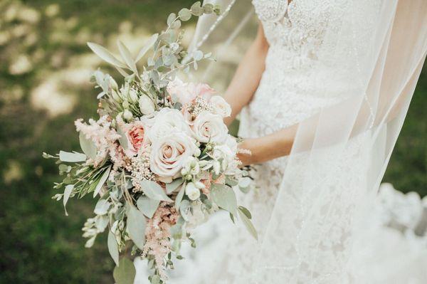 Wildwood Family Farms