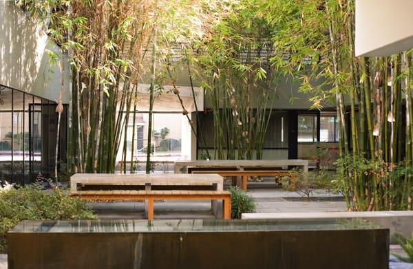 Landswick Physical Therapy