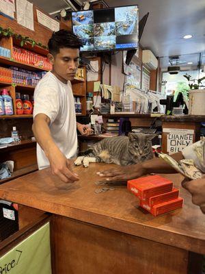 @Tsar.thecat getting comfortable before shooting his scene for the series "Elf of NYC"